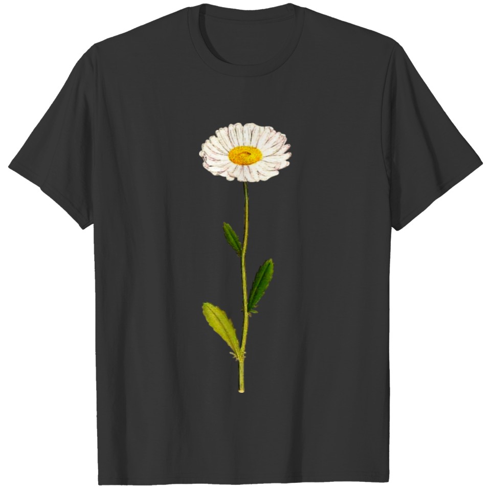 Oxeye daisy T-shirt