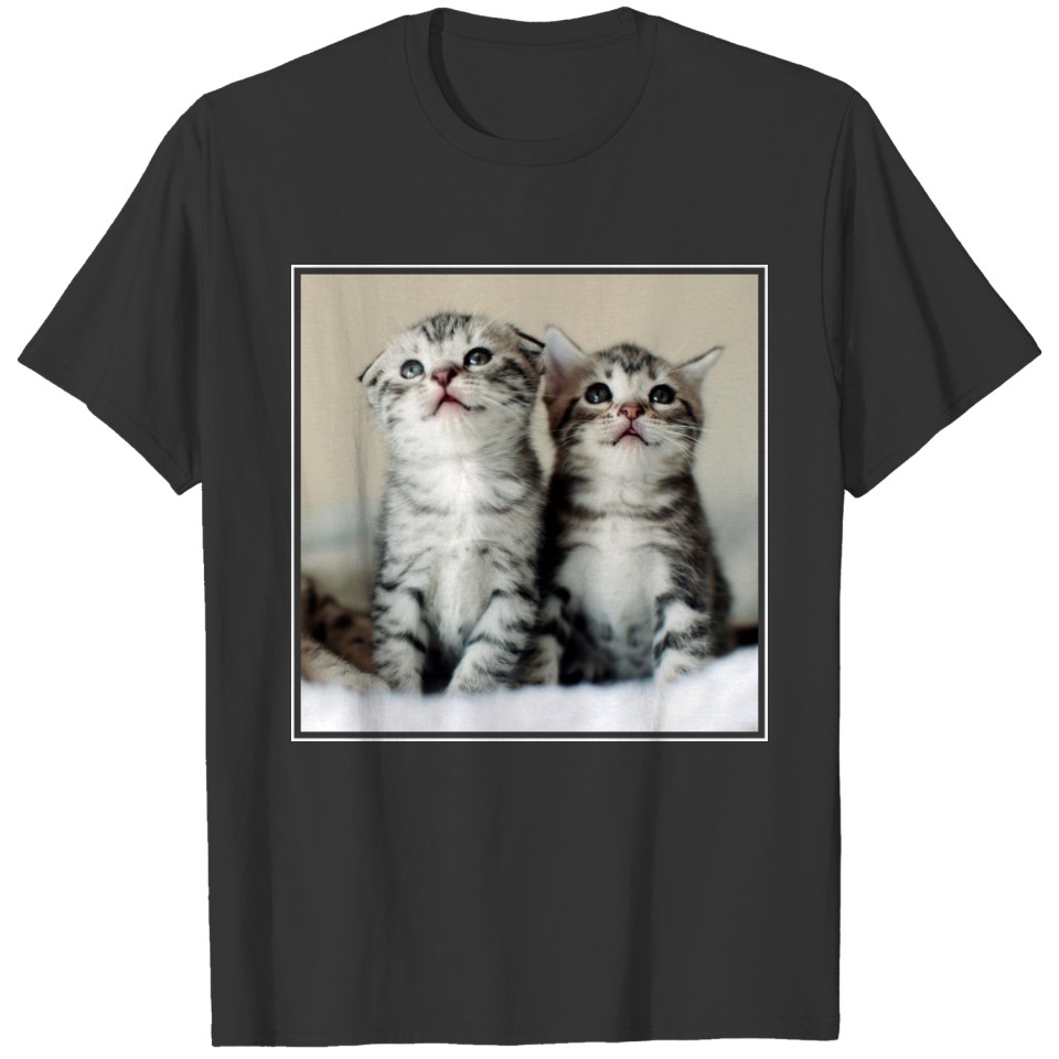 Two Cute Kittens T-shirt