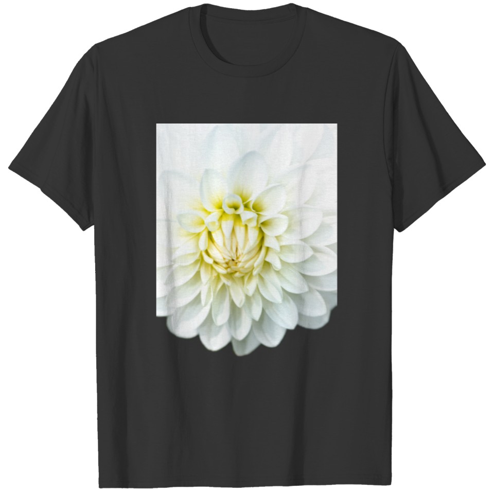 White Dahlia. T-shirt