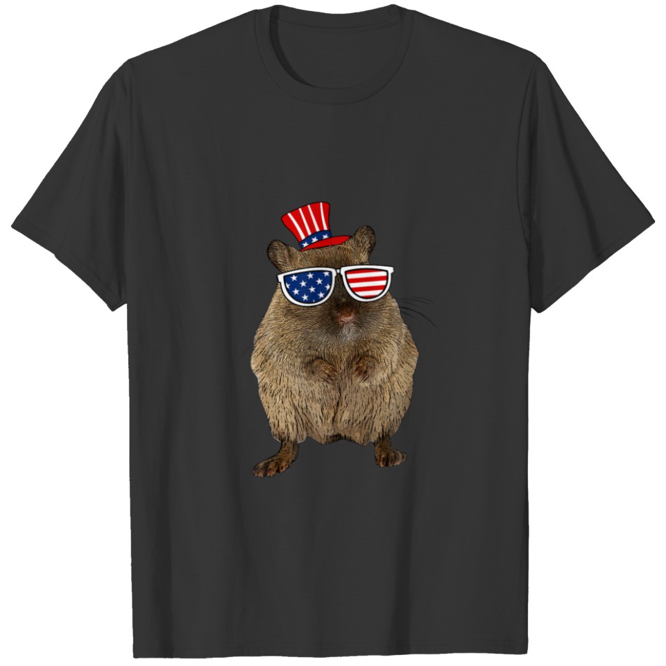 American Stars Stripes Hamster 4Th Of July Cute US T-shirt