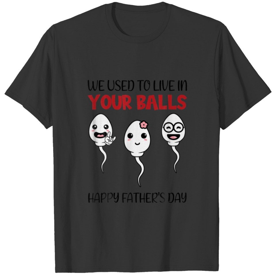 Mens We Used To Live In Your Ball Happy Fathers Da T-shirt