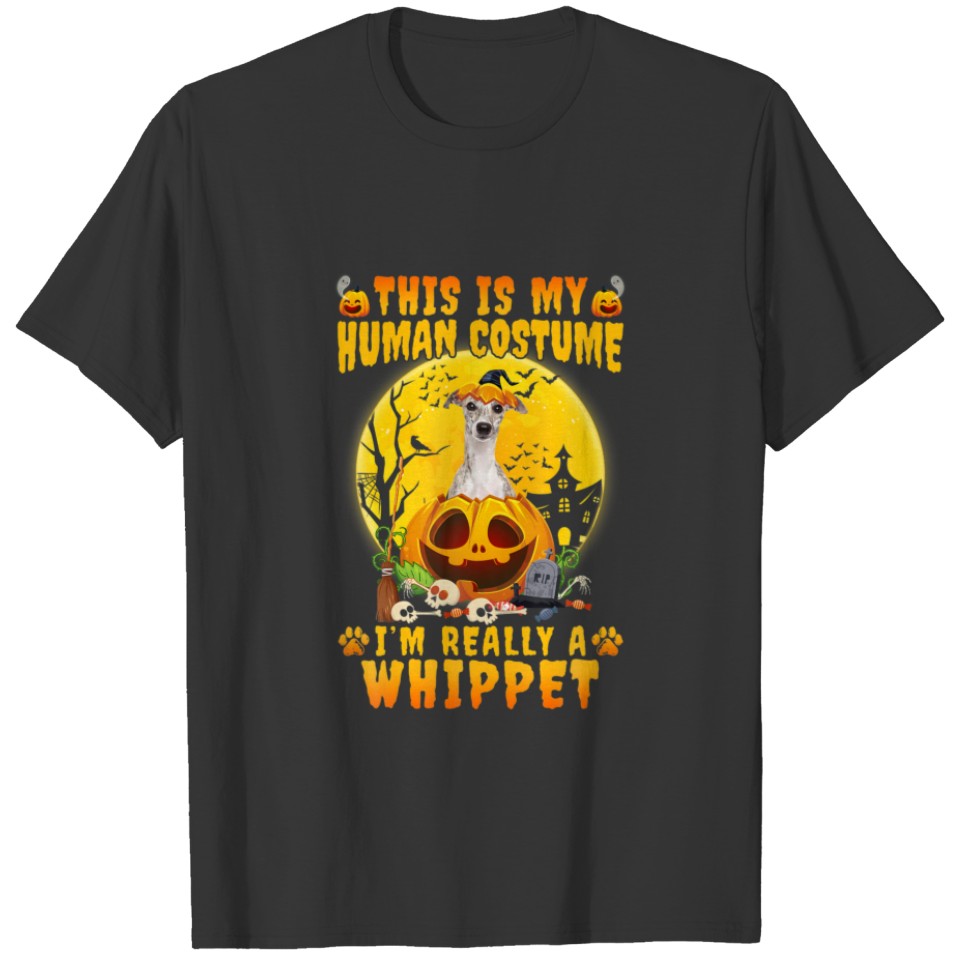Funny Whippet Witch Halloween Costume Pumpkin Dog T-shirt