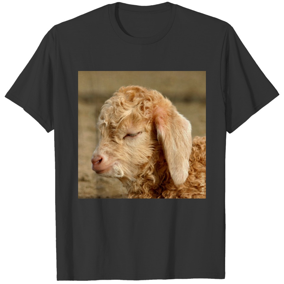 Angora Goat Kid - Adult Dark T-shirt