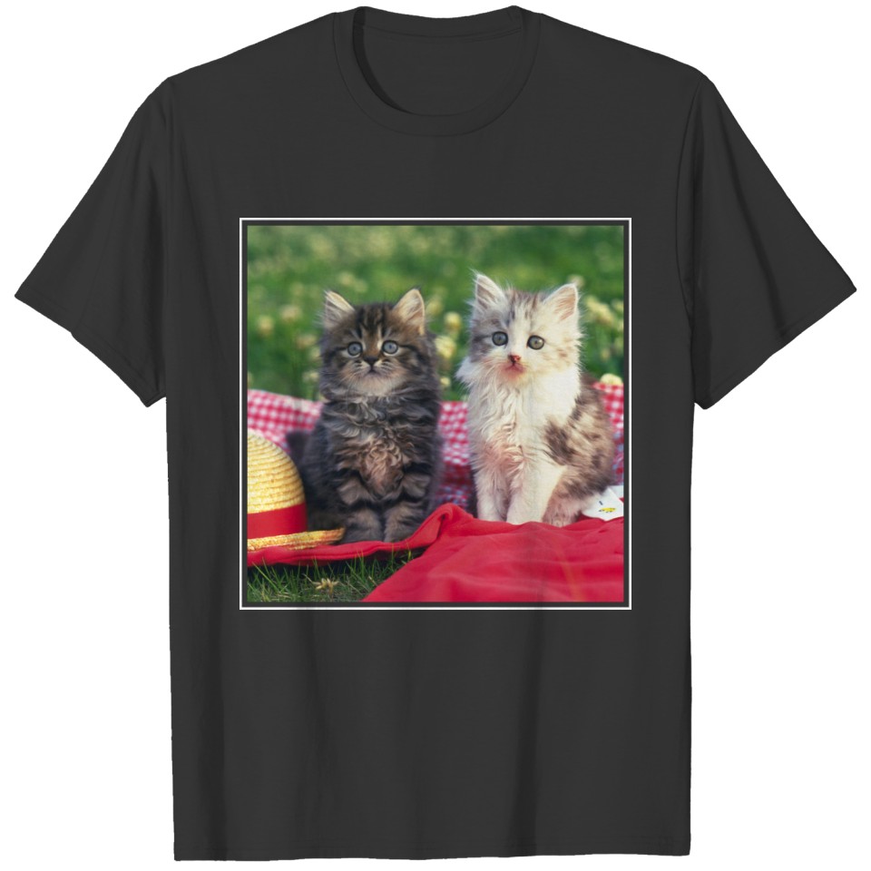 Two Kittens Sitting On A Red-Colored Blanket T-shirt