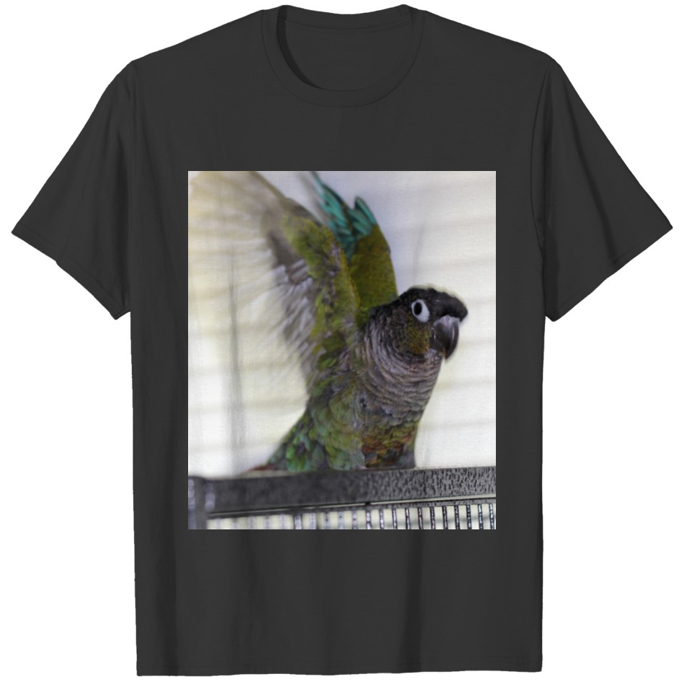 Wing Ding T-shirt
