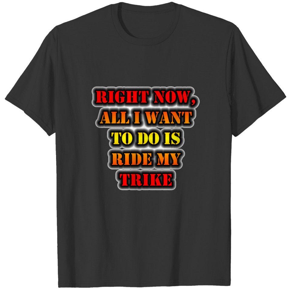 Right Now, All I Want To Do Is Ride My Trike T-shirt