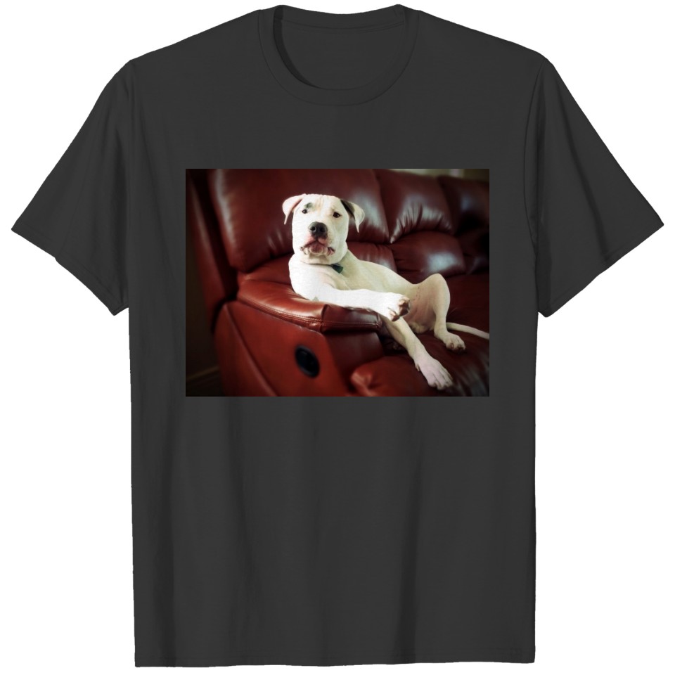 funny white pit bull dog on the couch T-shirt