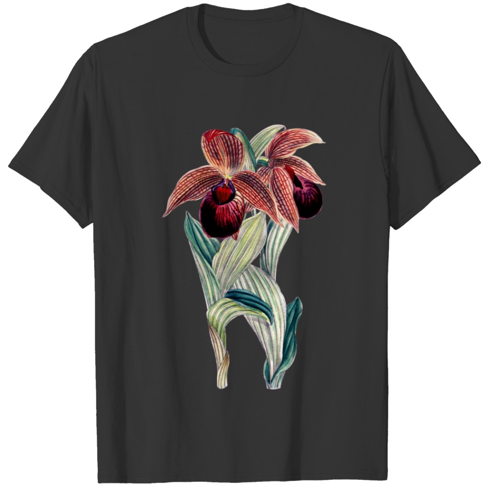 EXOTIC ORCHID ILLUSTRATION (CYPRIPEDIUM TIBETICUM) T-shirt