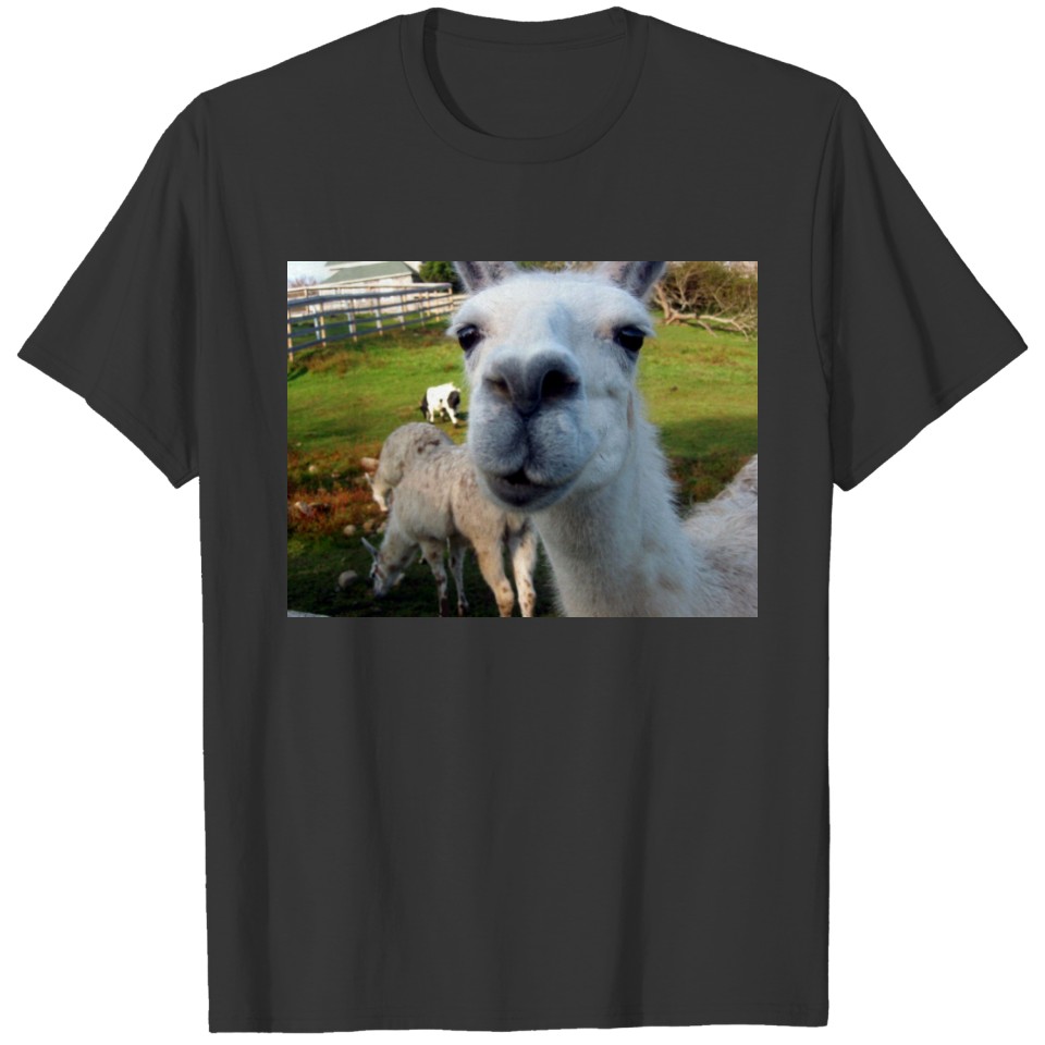 Goofy Llama T-shirt