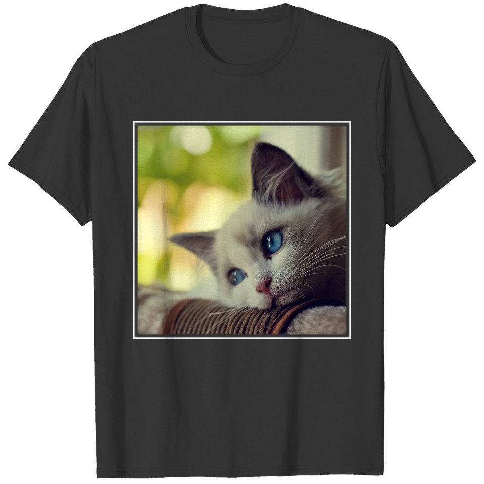 Ragdoll Kitten T-shirt