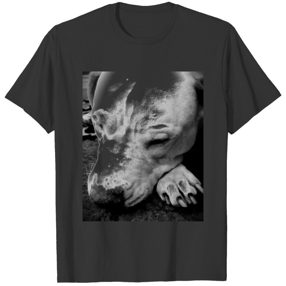 harry potter scar dog white pit bull T-shirt