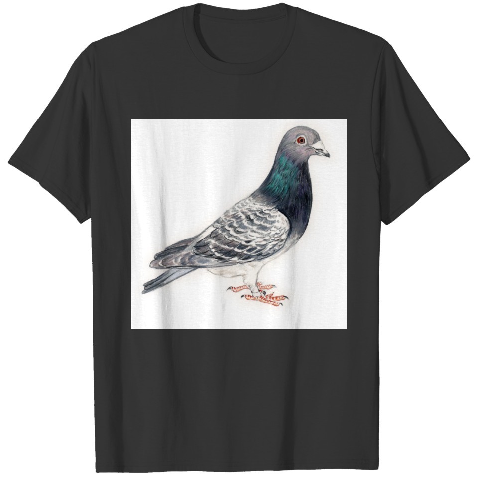 Pigeon Bird Art Sweat T-shirt