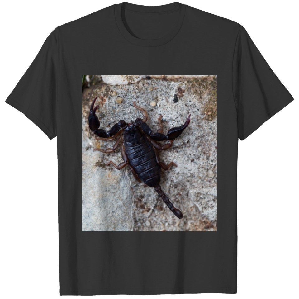 Scorpion of the species Euscorpius italicus T-shirt