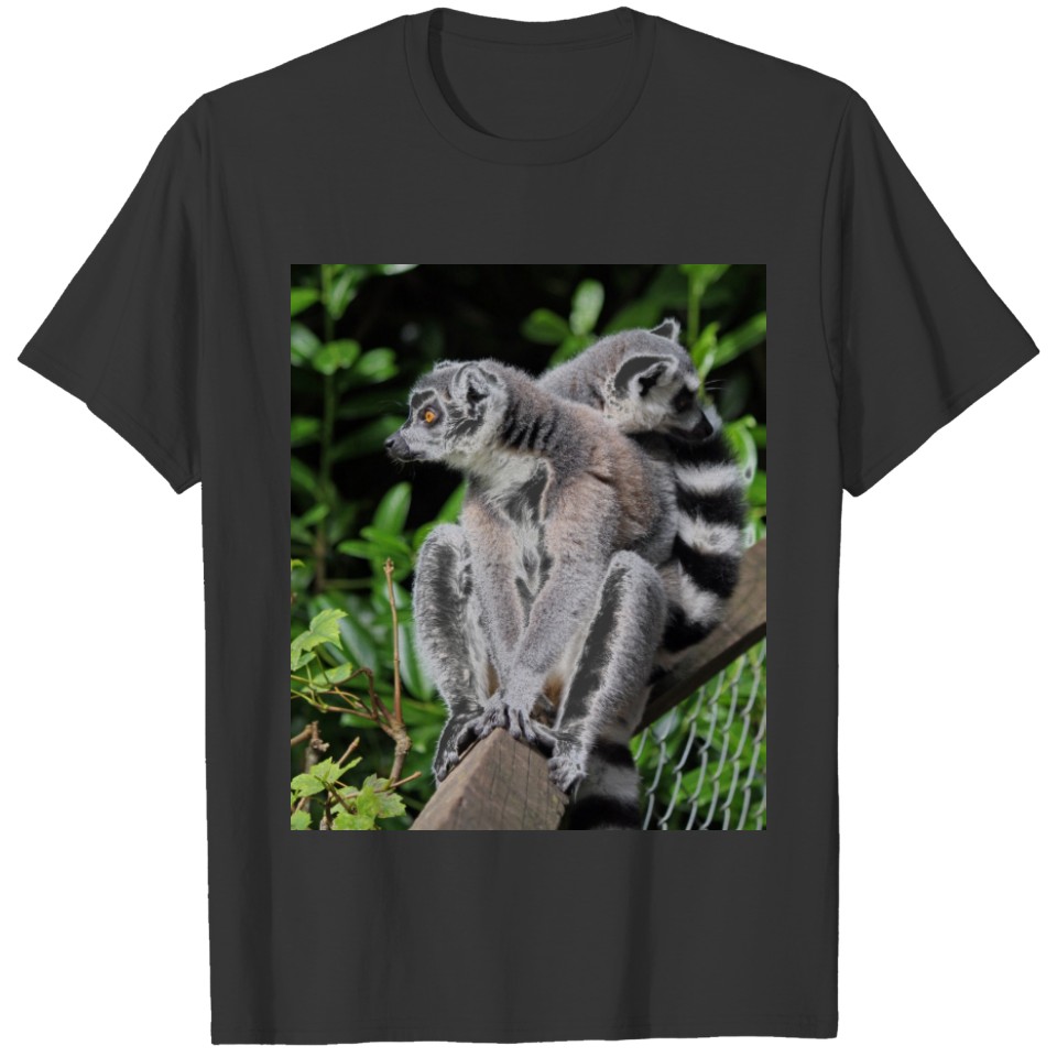Lemur ring-tailed cute photo T-shirt