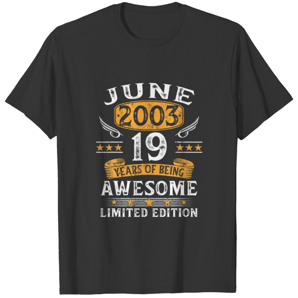 June 2003 Vintage 19Th Birthday 19 Year Old Gifts T-shirt