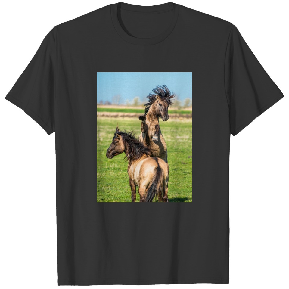 Wild horses rearing up England UK Polo T-shirt