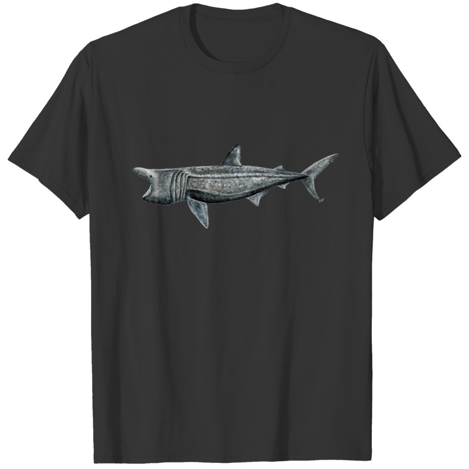 Shark pilgrim T-shirt