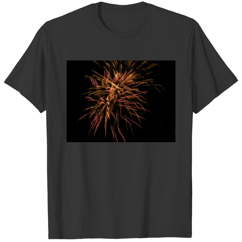 Firework 16 T-shirt