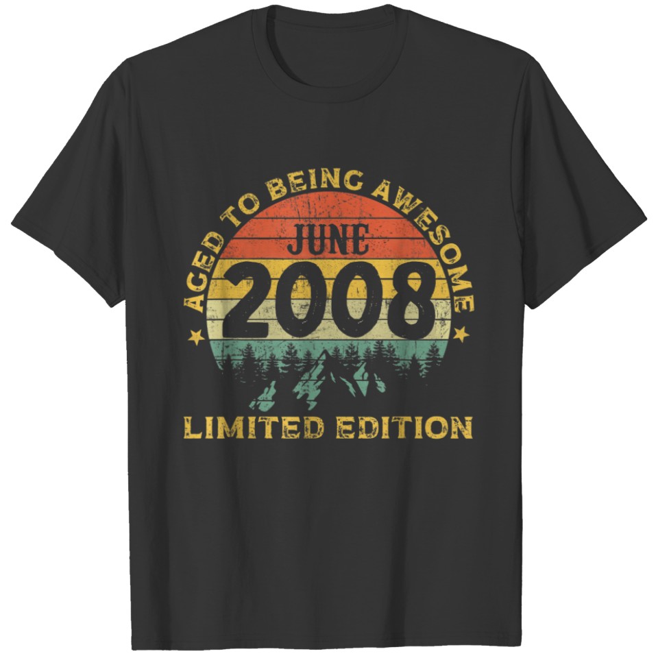 Vintage Legends Awesome Born In June 2008 Aged Lim T-shirt