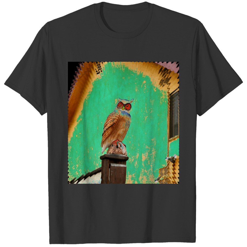 Unique pastel old owl T-shirt