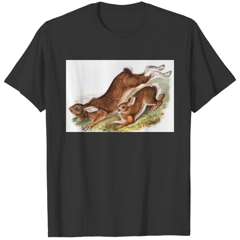Northern Hare (Lepus Americanus) Illustration T-shirt
