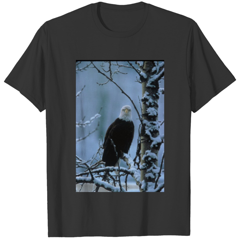 Ladies LS T / Bald Eagle in Winter Snow T-shirt