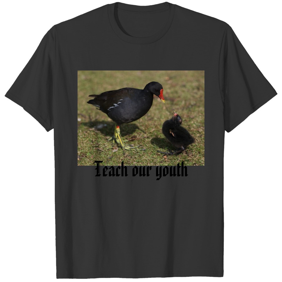 Teach our youth T-shirt