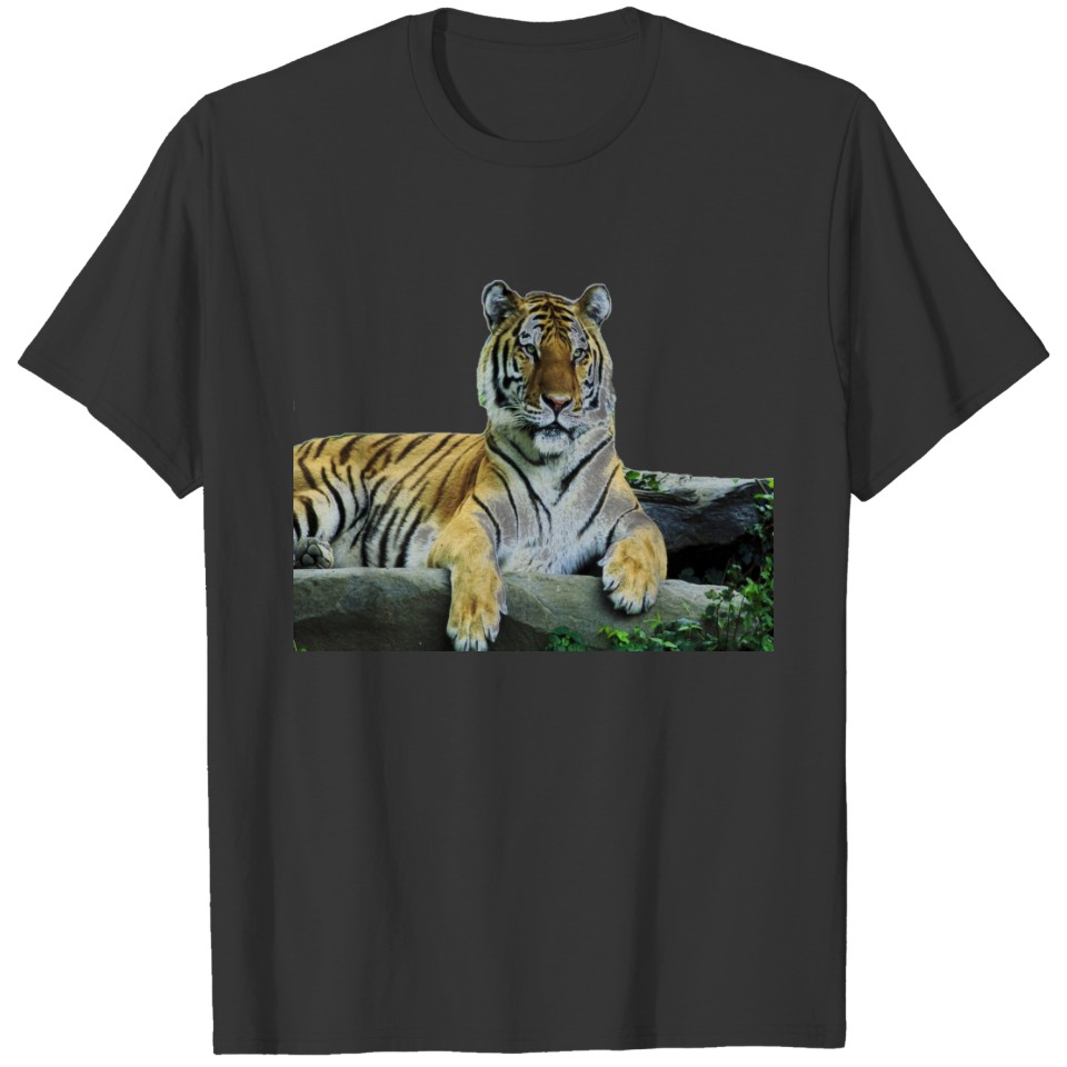 Mens tiger T-shirt