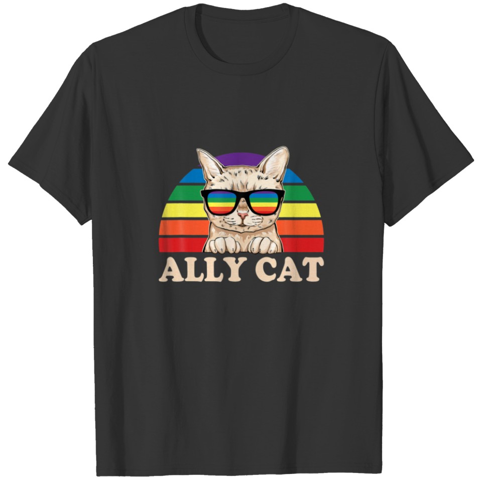 LGBT Ally Cat Be Kind Rainbow Funny LGBTQ Gift Ide T-shirt