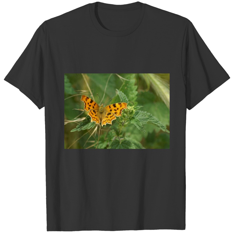 Men Gray Butterfly T-shirt