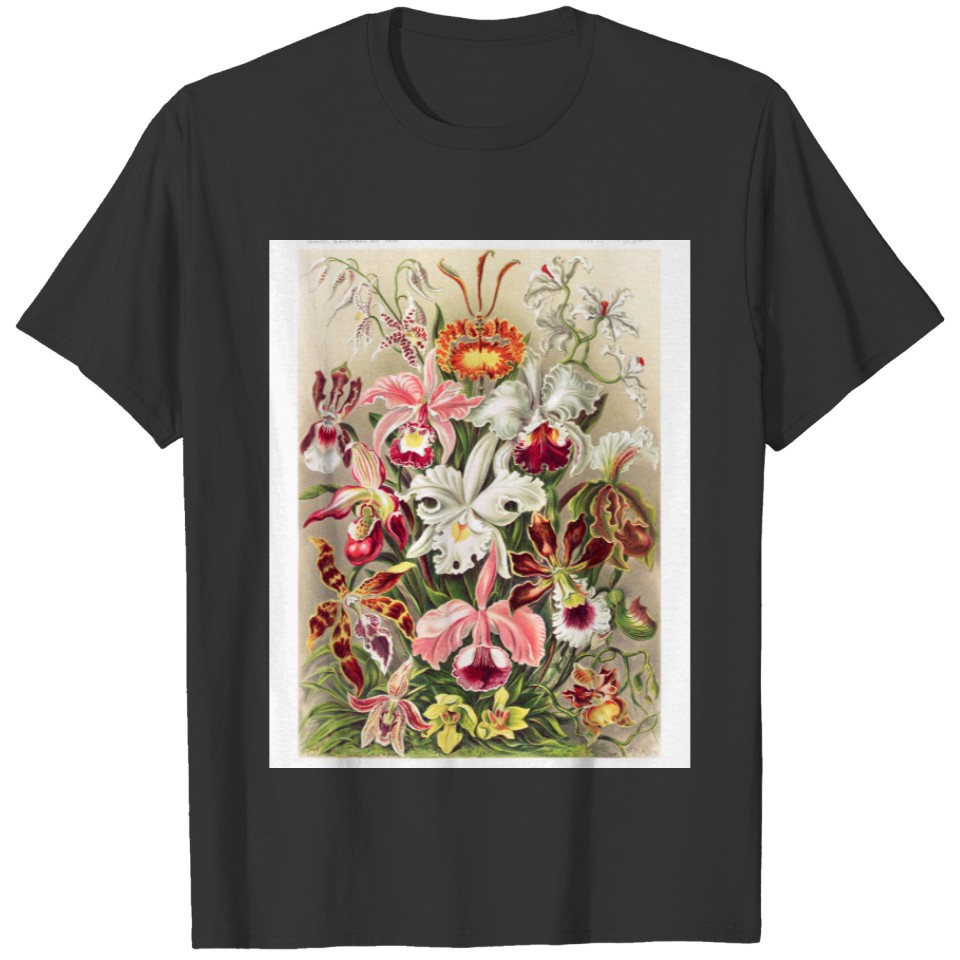 Orchideae Denusblumen A Giltsch By Ernst Haeckel T-shirt