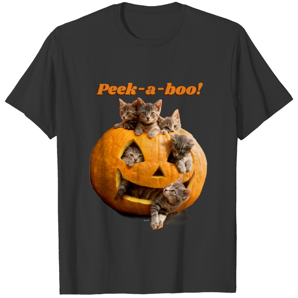 Kittens in Jack-o-Lantern T-shirt