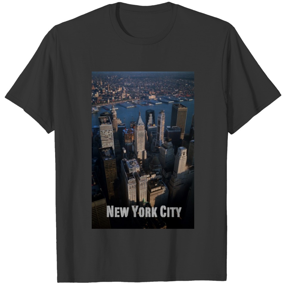 Lower-Manhattan New York City T-shirt