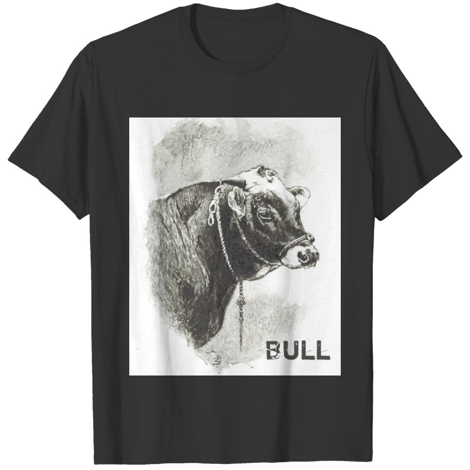Vintage Bull T-shirt