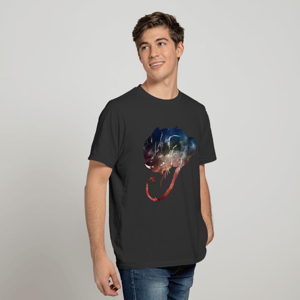 Galaxy_cat_19 T-shirt
