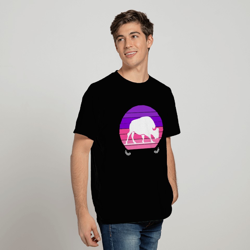 Buffalo Sunset T Shirts