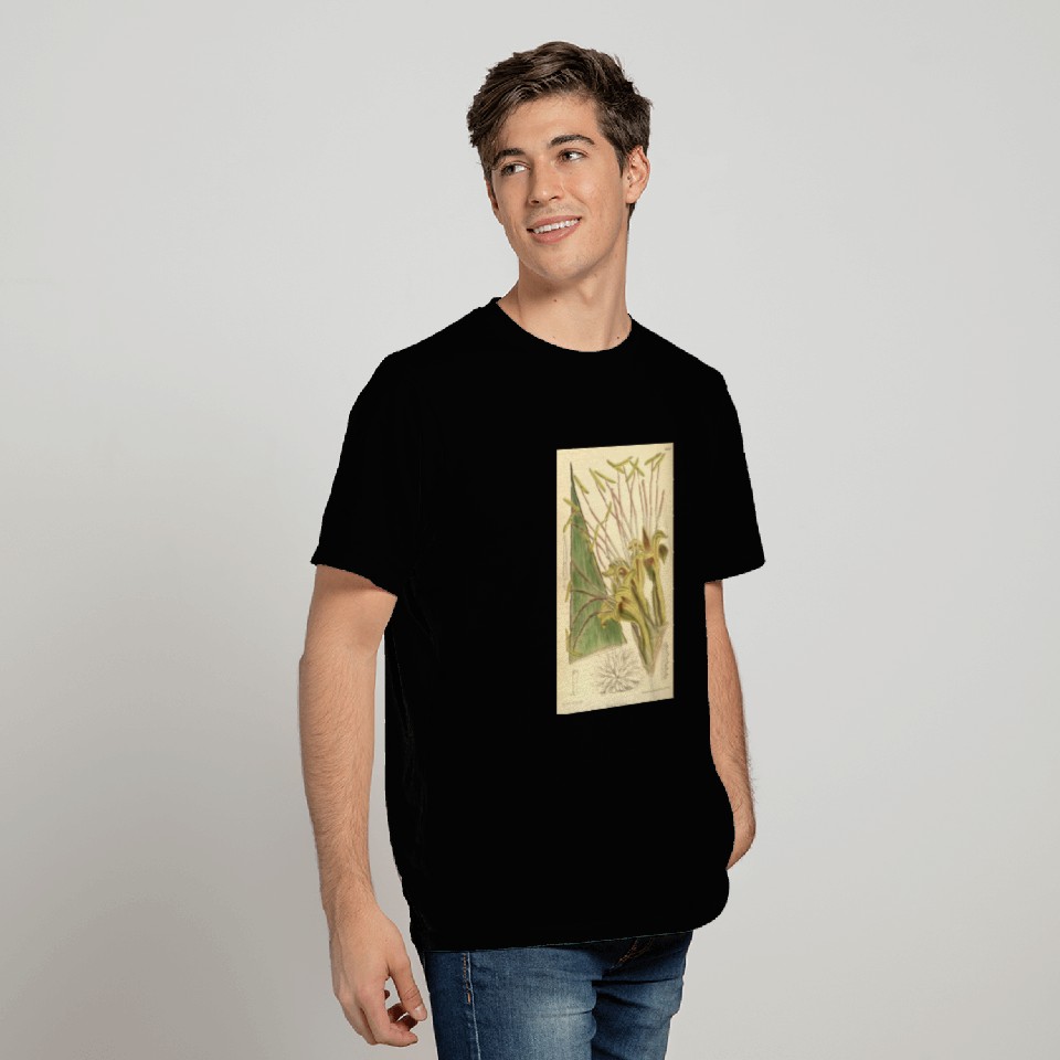 Agave warelliana 139 8501 T Shirts