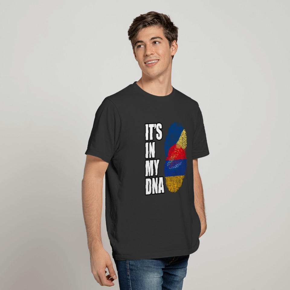 Seychellois And Armenian Vintage Heritage DNA Flag T-shirt