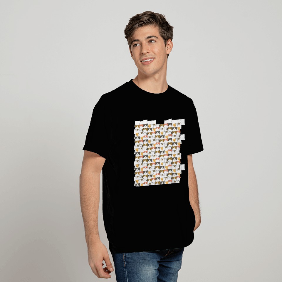 Crazy Cat Lady T Shirts