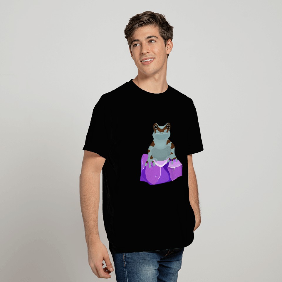 Frog Crystal Amethyst Gemstone For Toad Owners T Shirts