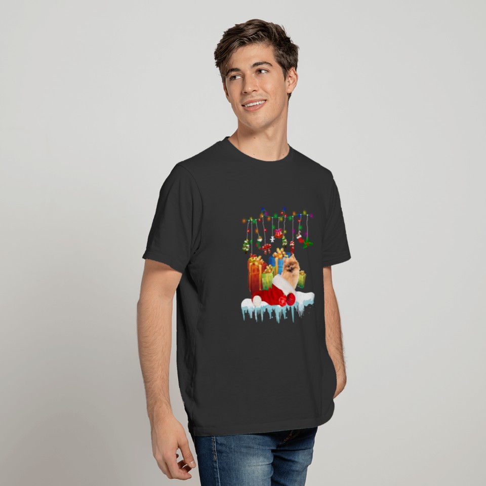 Pomeranian In Santa Hat Christmas Fairy Light Pres T-shirt