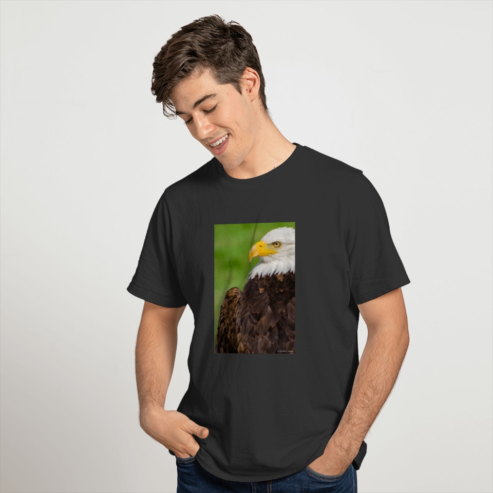 Profile of a Bald Eagle Resting on a Sunny Day T-shirt